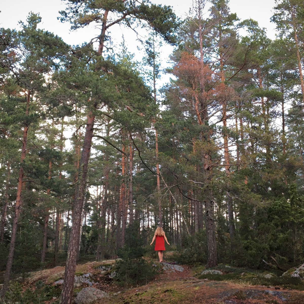 How to Stay Sane While&nbsp;Isolated