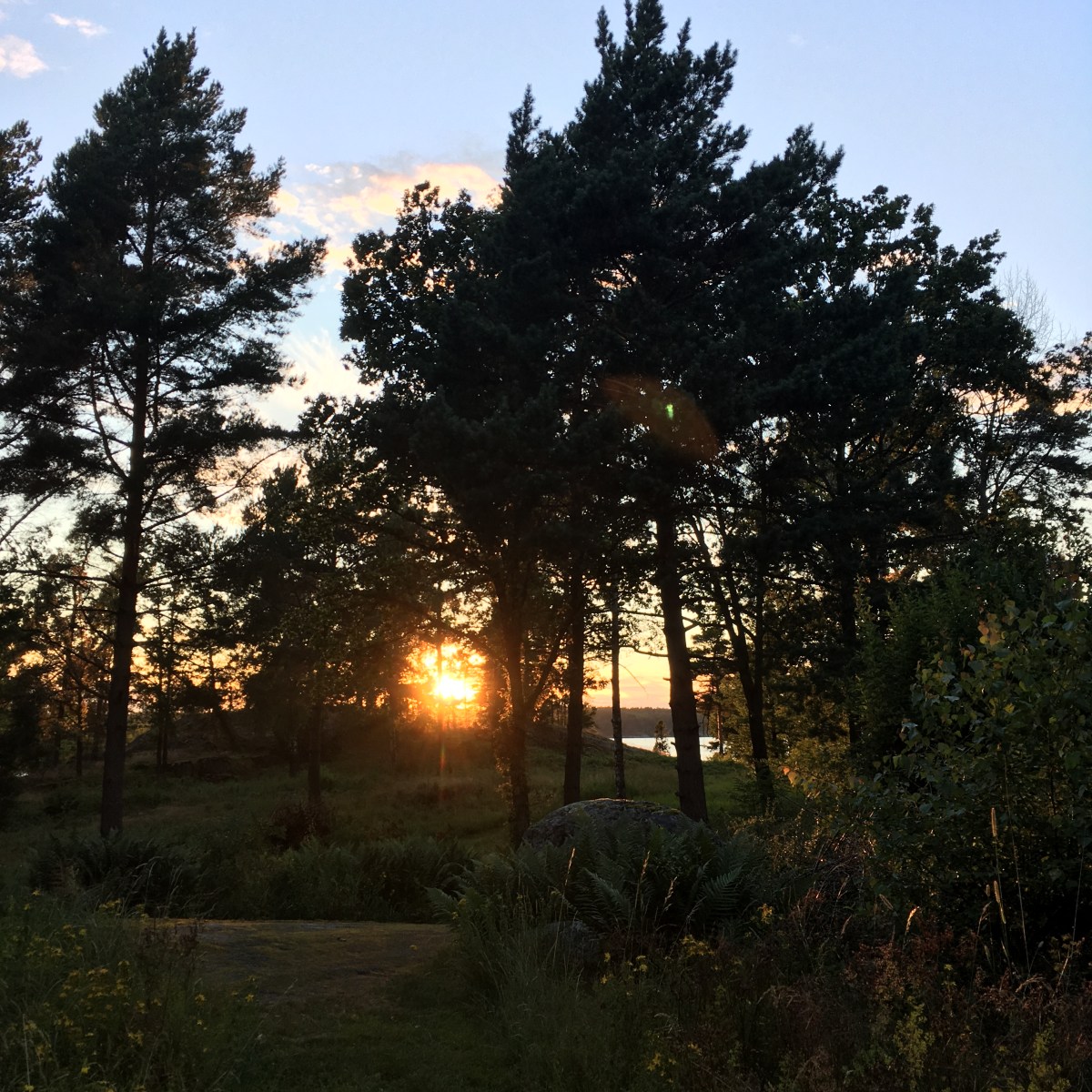 Great TV-Series to Binge (When You’ve Read All the Books in Your&nbsp;Bookshelf)