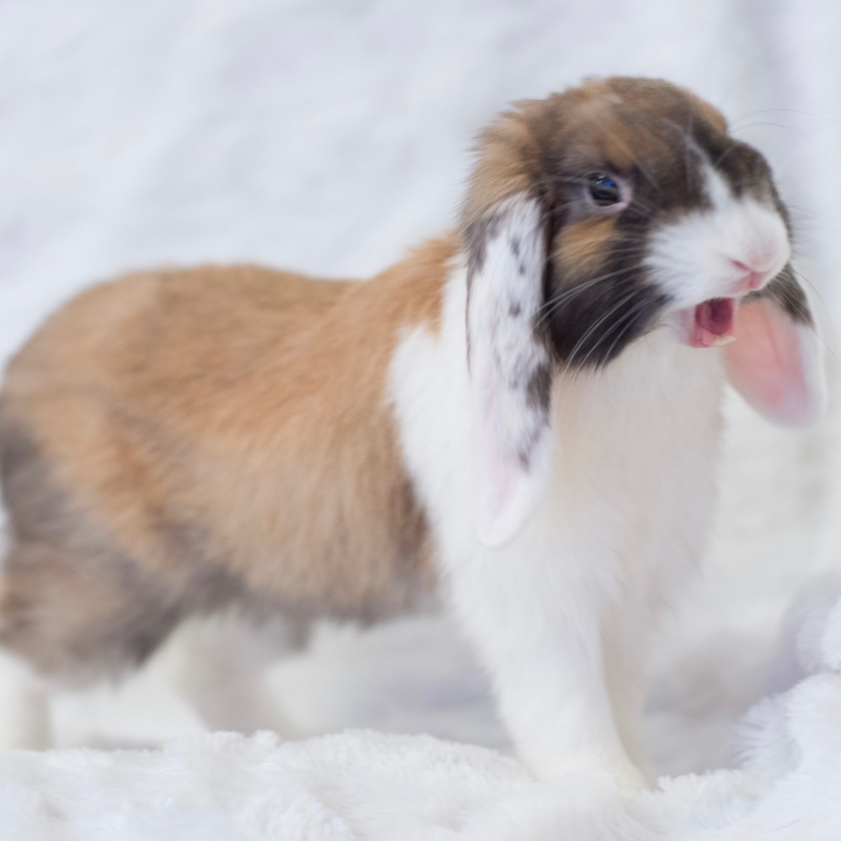 Path to Inner Calm: Stress Management&nbsp;Strategies