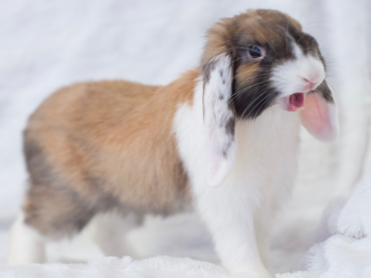 Path to Inner Calm: Stress Management&nbsp;Strategies